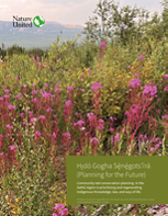 Community-led conservation planning in the
Sahtú region is prioritizing and regenerating Indigenous Knowledge, law and way of life.