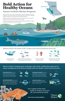 An infographic describing Nature United's marine program