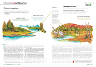Article and illustration about wetlands and forests as natural climate solutions in Canada.