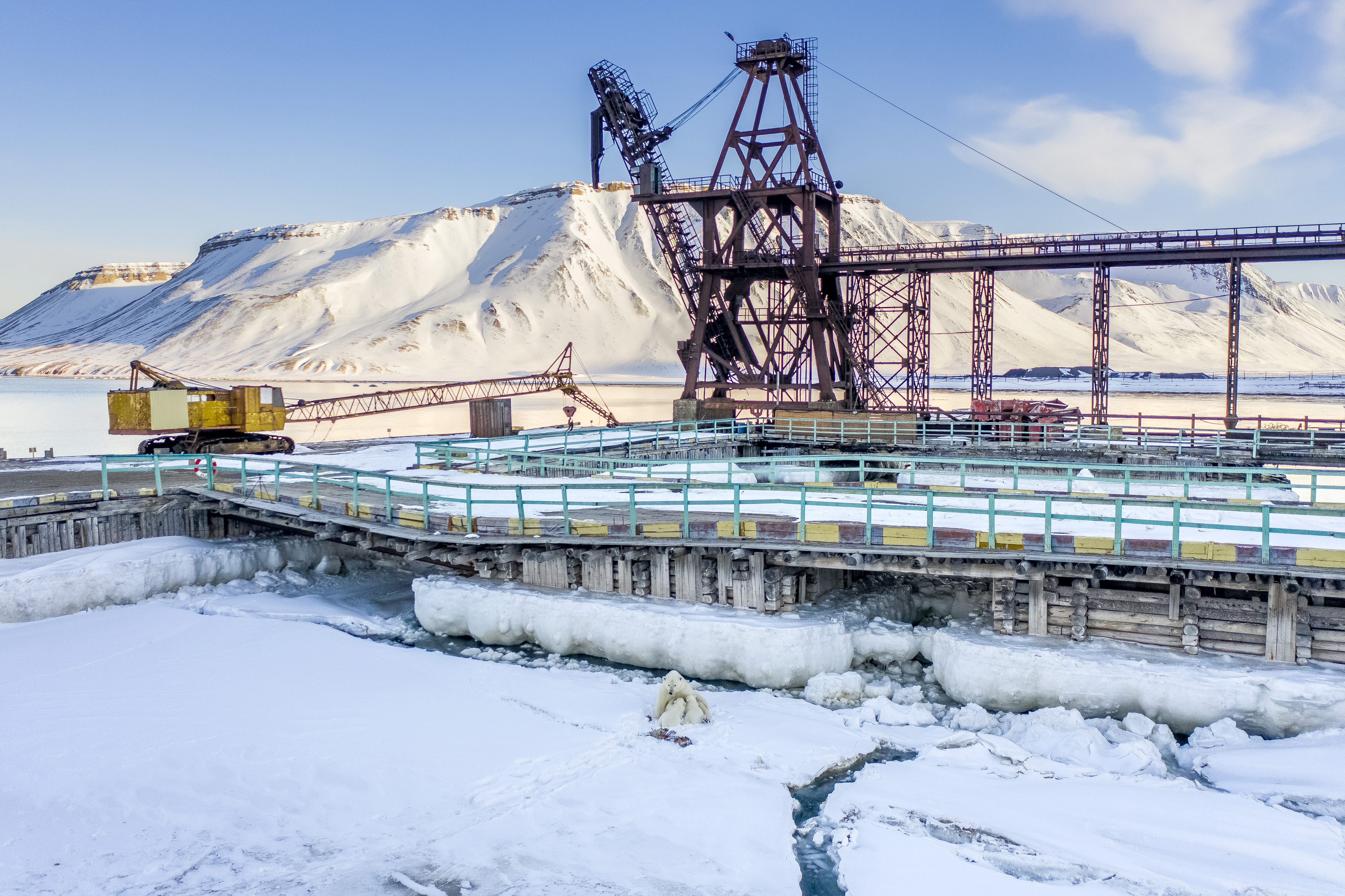 A female polar bear breastfeeding her two cubs of the year in the harbour of the abandoned Russian settlement, Pyramiden.