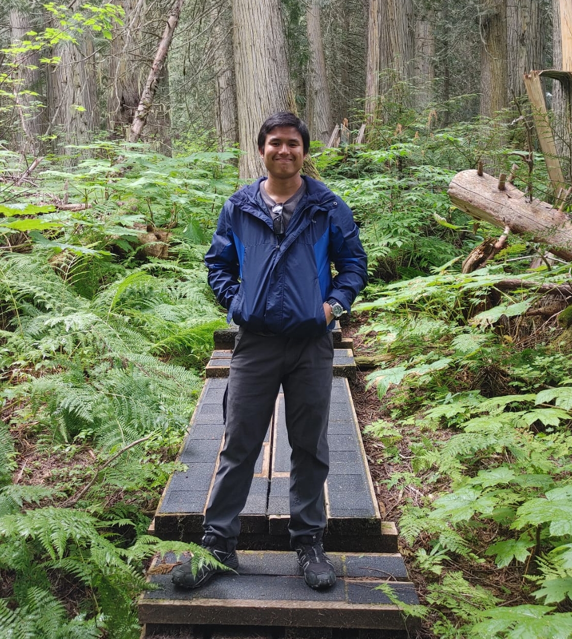 Person standing on path surrounded by ferns.