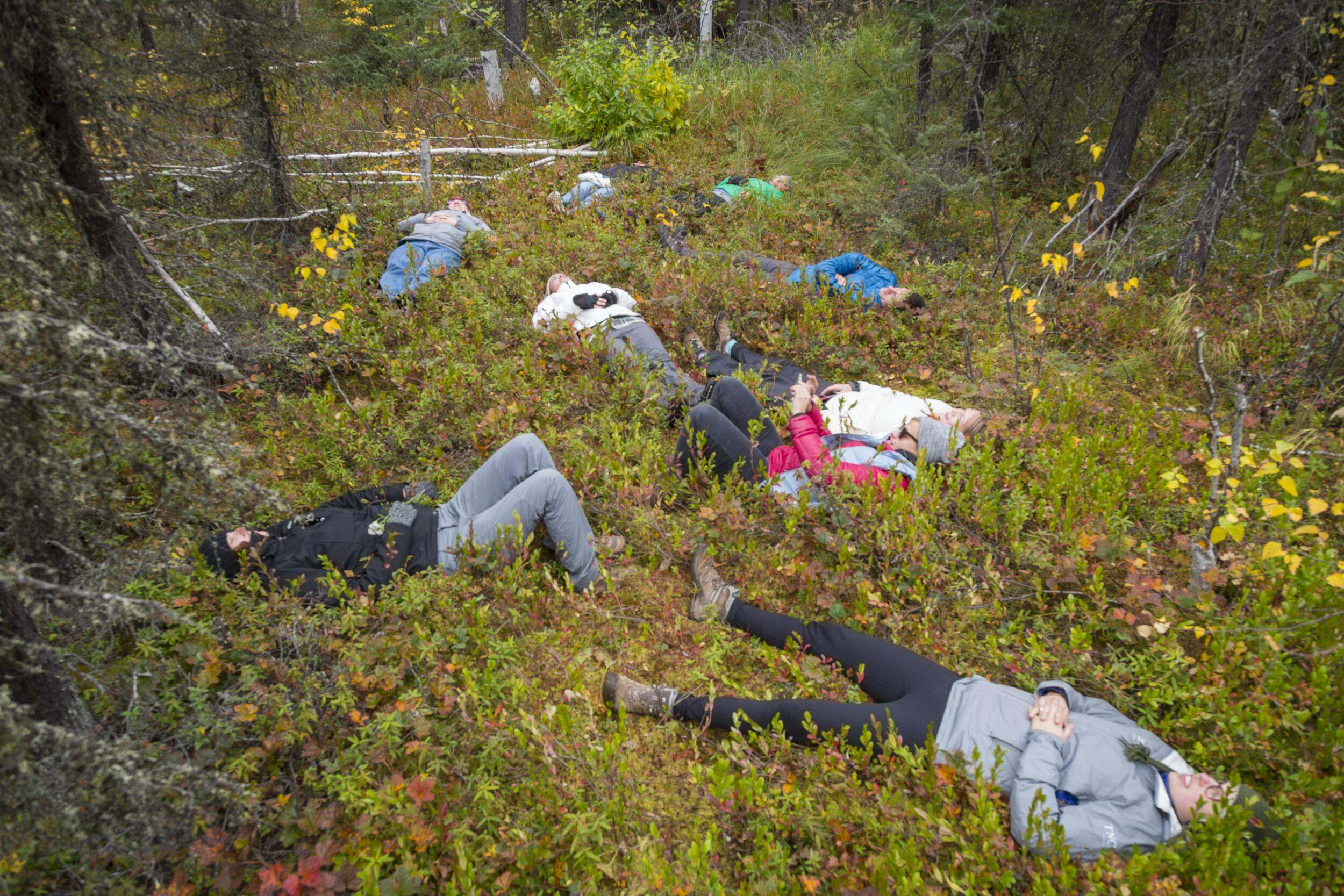 People laying on a forest floor.