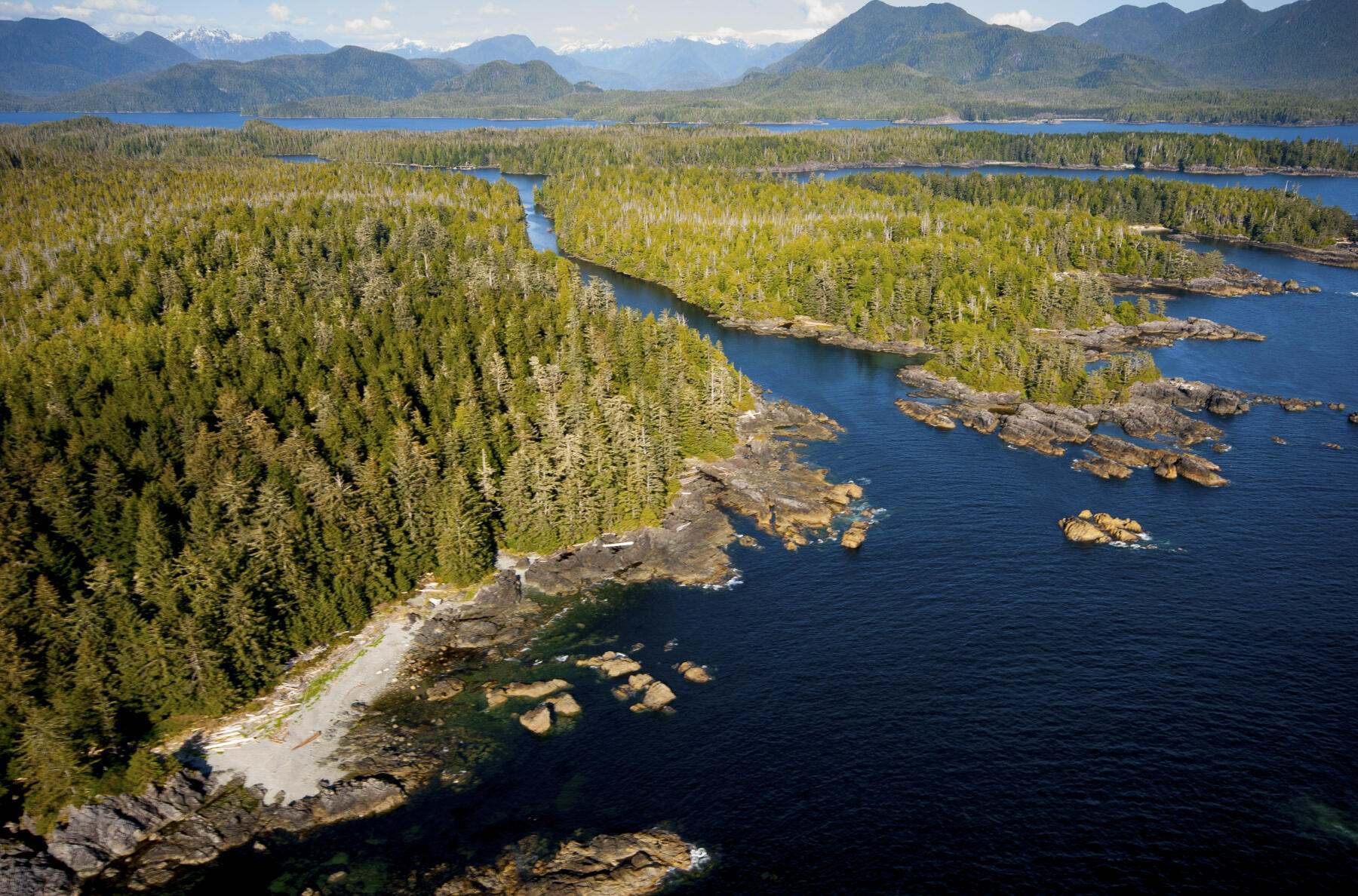 Aerial view of coastal temperate rainforest.