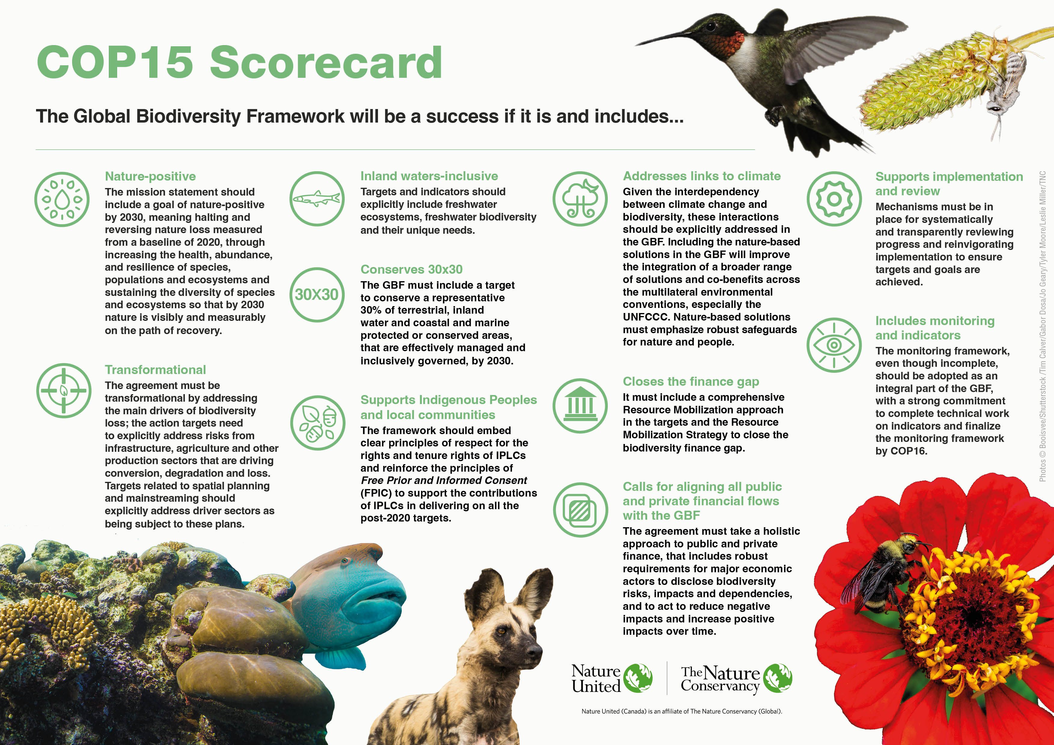 Scorecard with 10 points and pictures of animals.