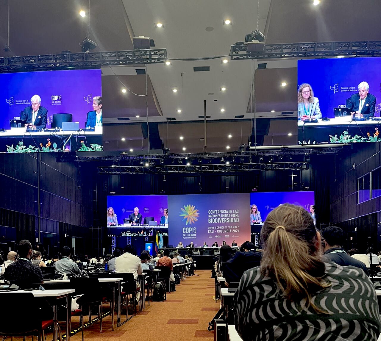 Conference hall at COP16 filled with people. 