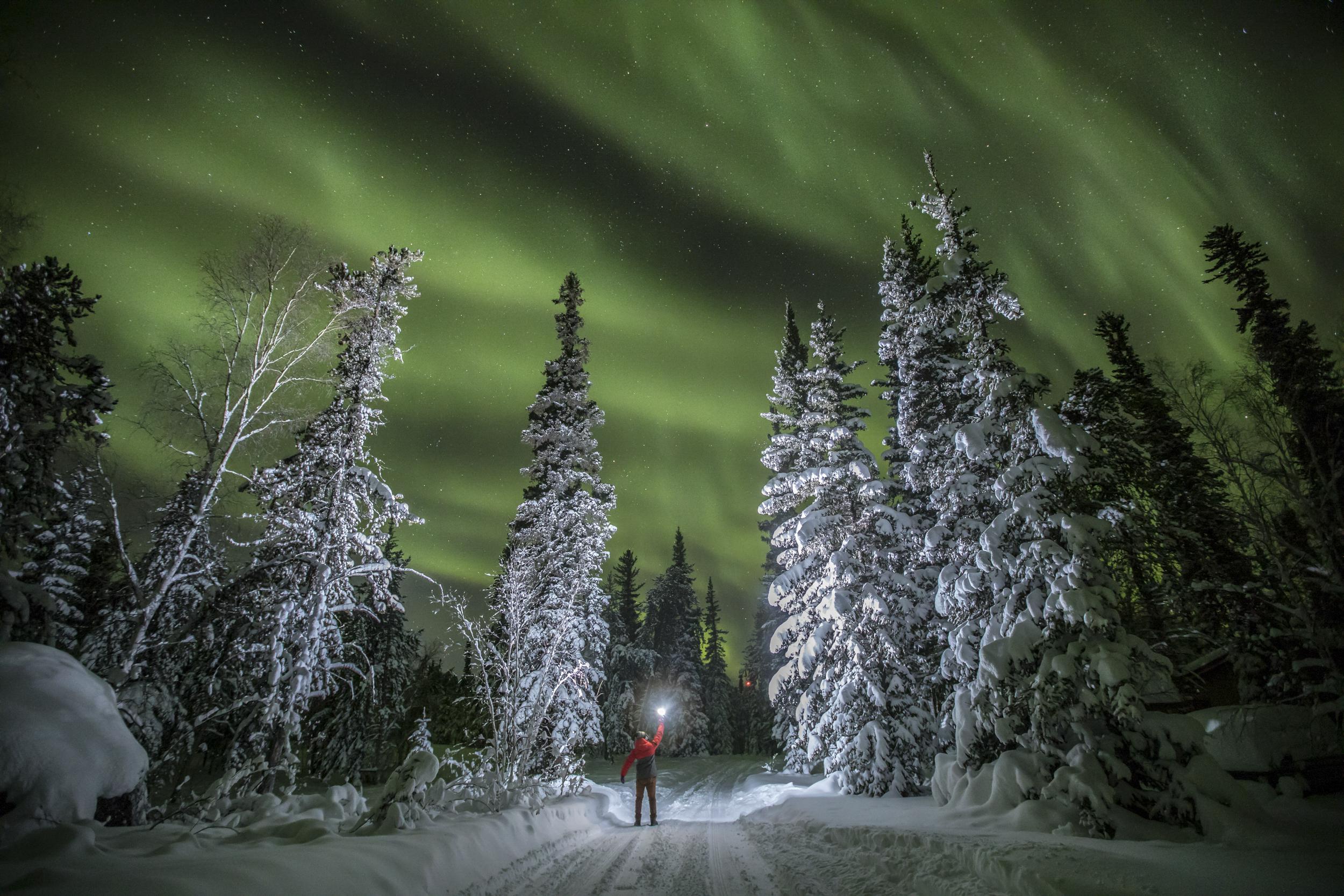 a person holds up a beacon of light in the middle of a snowy forest with the northern lights overhead