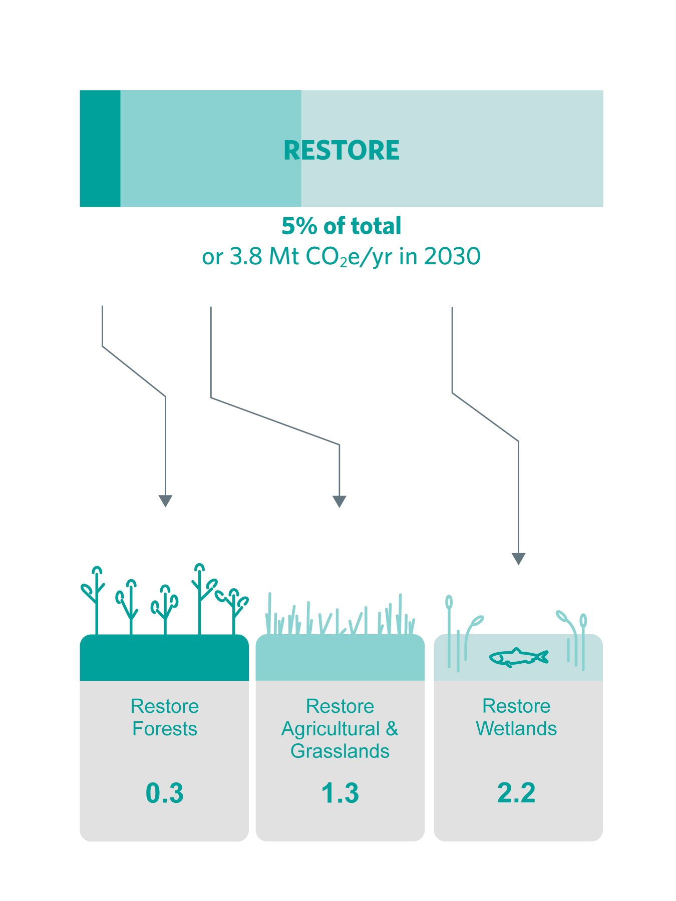 Graphic showing mitigation potential for restoration.