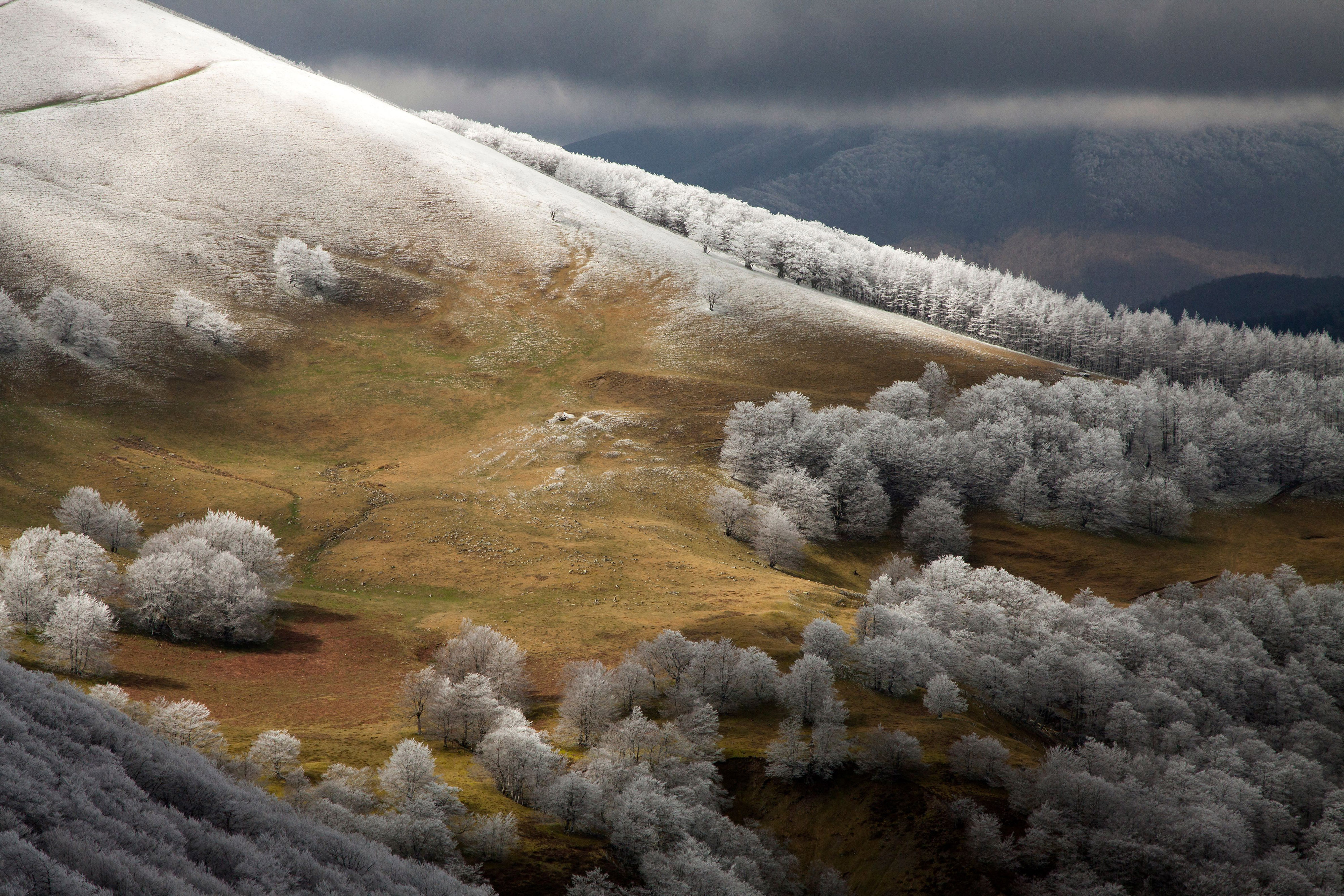 A mountain slope with frosted trees and a covering of light snow on the upper slopes.