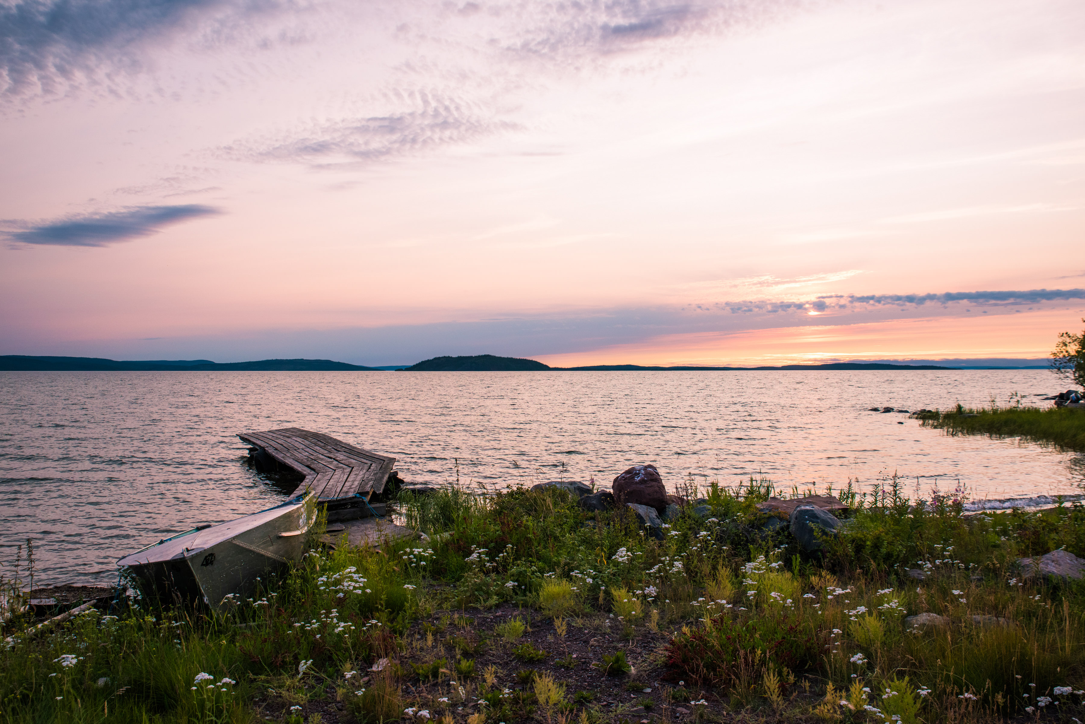 dock on lakeshore blooming with wildflowers at sunset