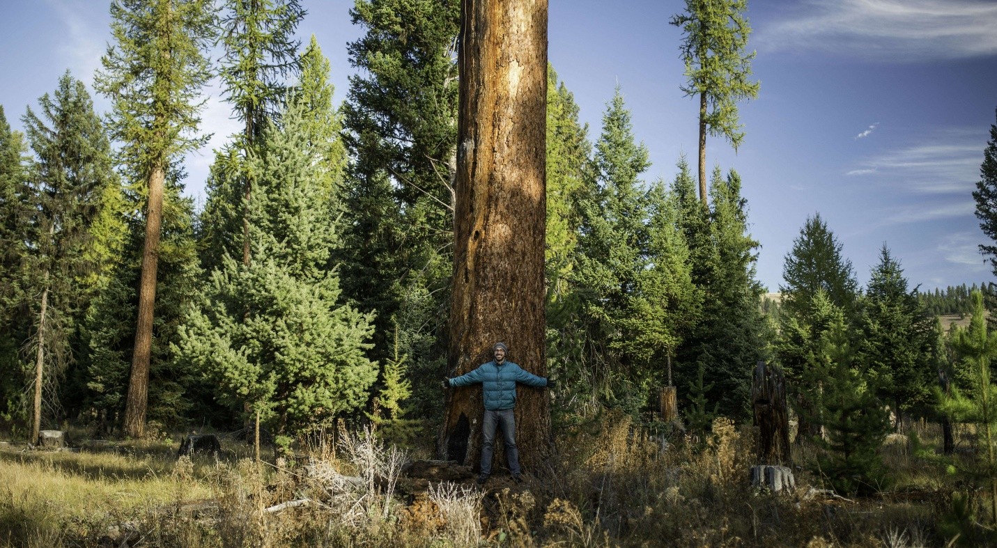 Person smiling and standing in front of a huge tree. 